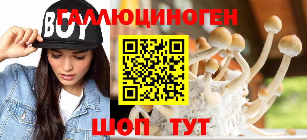 Сердобск  Псилоцибиновые грибы GOLDEN TEACHER  Вход с VPN 